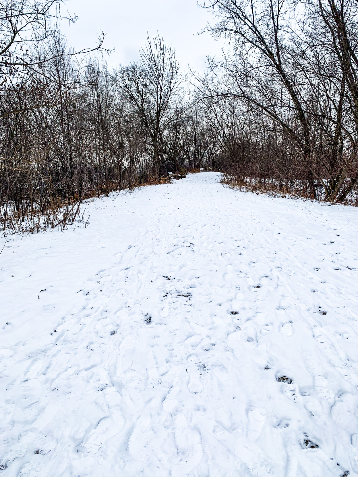 Nature Walk Series (4 of 4)